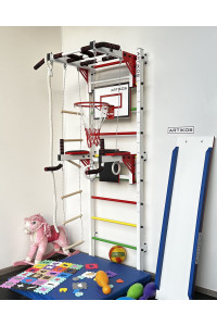 Obręcz do koszykówki z tarczą