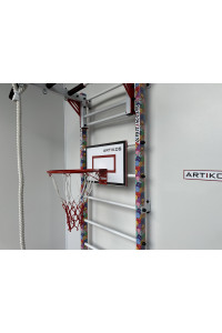 Obręcz do koszykówki z tarczą