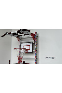 Obręcz do koszykówki z tarczą