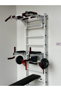 Dla prasy szwedzki mur jest biały