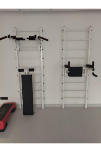 Dla prasy szwedzki mur jest biały